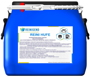 REINI HUFE